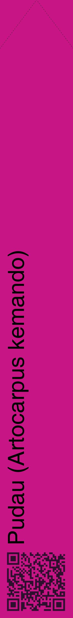 Étiquette de : Artocarpus kemando - format c - style noire45_simplehel avec qrcode et comestibilité