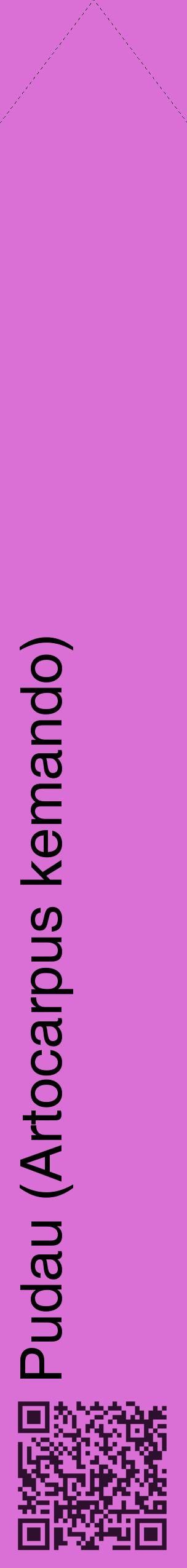 Étiquette de : Artocarpus kemando - format c - style noire52_simplehel avec qrcode et comestibilité