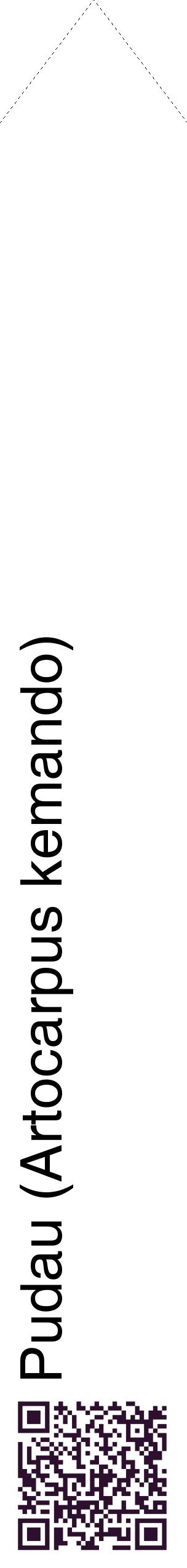 Étiquette de : Artocarpus kemando - format c - style noire60_simplehel avec qrcode et comestibilité