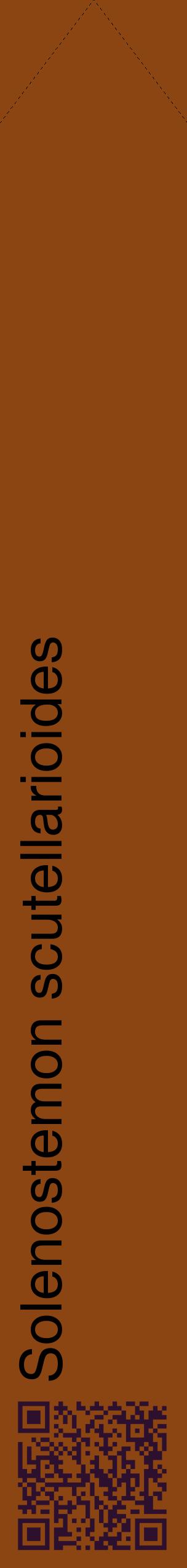 Étiquette de : Solenostemon scutellarioides - format c - style noire30_simplehel avec qrcode et comestibilité