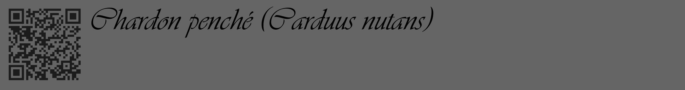 Étiquette de : Carduus nutans - format c - style noire32_basique_basiqueviv avec qrcode et comestibilité
