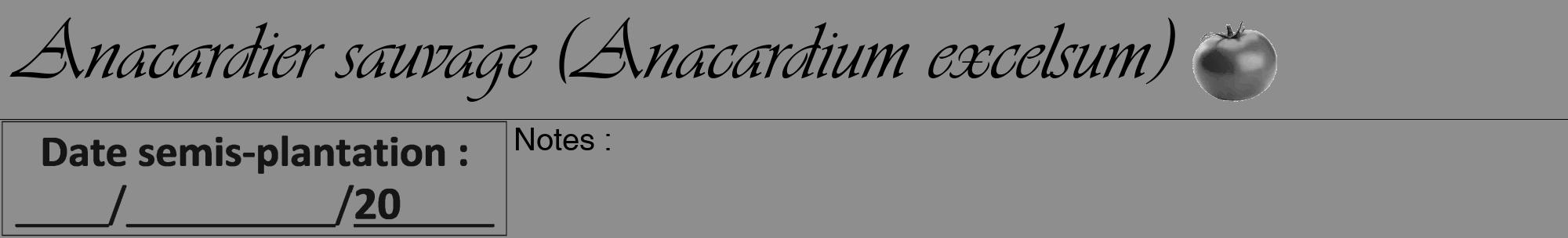 Étiquette de : Anacardium excelsum - format a - style noire25viv avec comestibilité simplifiée