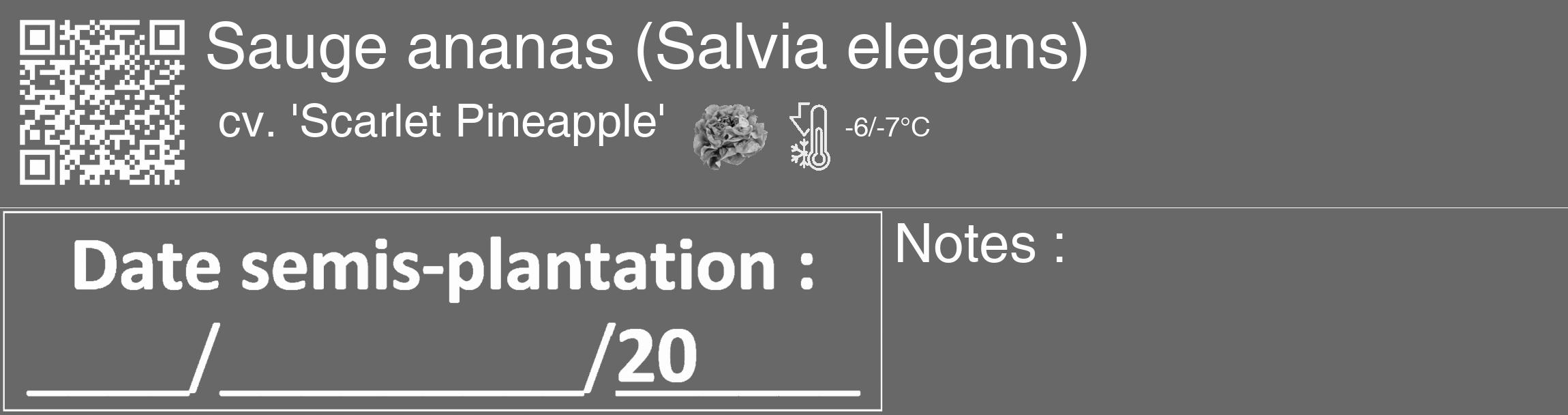 Étiquette de : Salvia elegans cv. 'Scarlet Pineapple' - format c - style blanche6_basique_basiquehel avec qrcode et comestibilité simplifiée