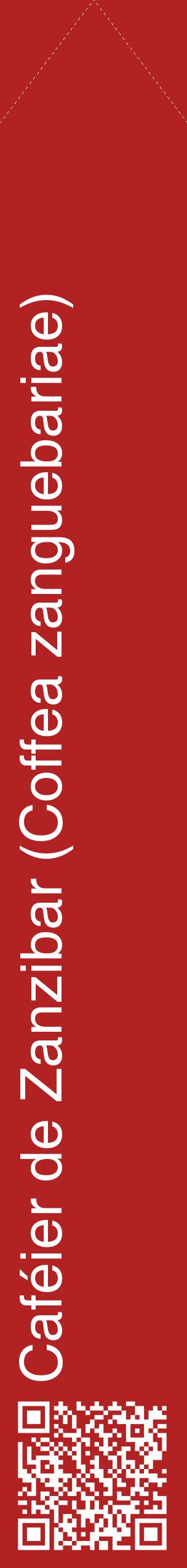Étiquette de : Coffea zanguebariae - format c - style blanche28_simplehel avec qrcode et comestibilité