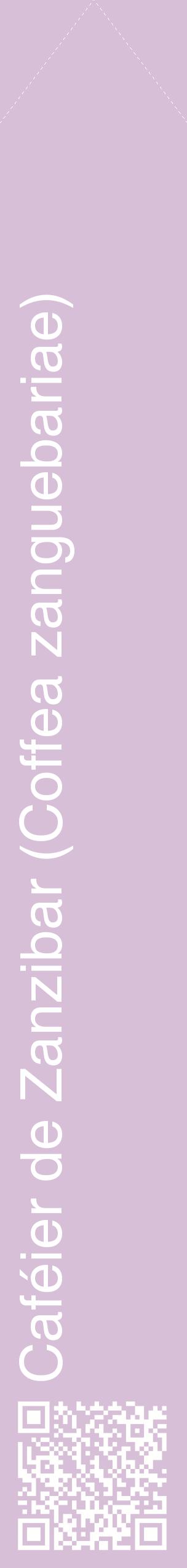 Étiquette de : Coffea zanguebariae - format c - style blanche54_simplehel avec qrcode et comestibilité