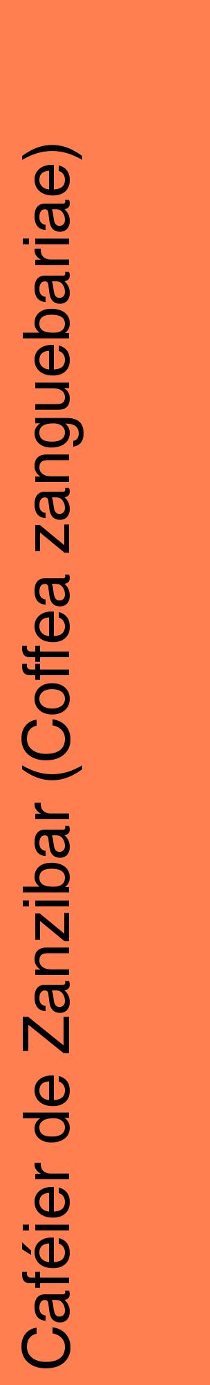 Étiquette de : Coffea zanguebariae - format c - style noire24_basiquehel avec comestibilité