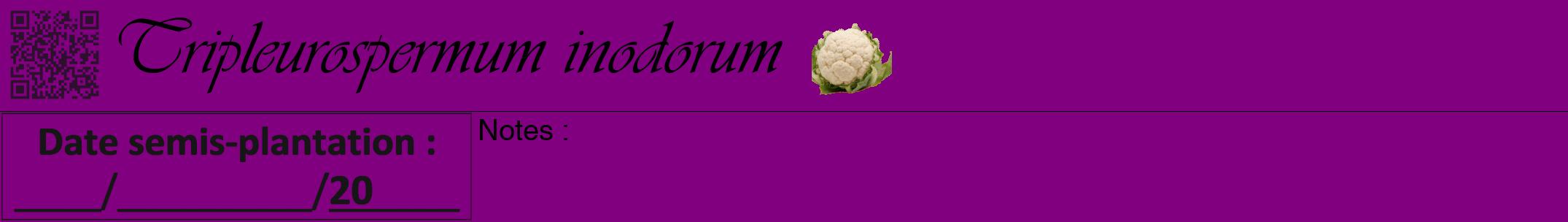Étiquette de : Tripleurospermum inodorum - format a - style noire46viv avec qrcode et comestibilité simplifiée