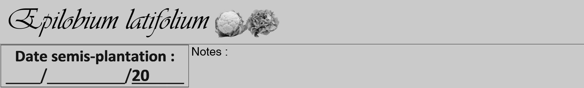 Étiquette de : Epilobium latifolium - format a - style noire21viv avec comestibilité simplifiée