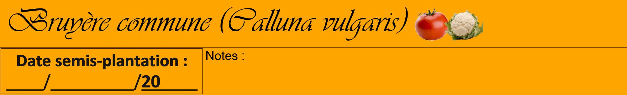 Étiquette de : Calluna vulgaris - format a - style noire22viv avec comestibilité simplifiée