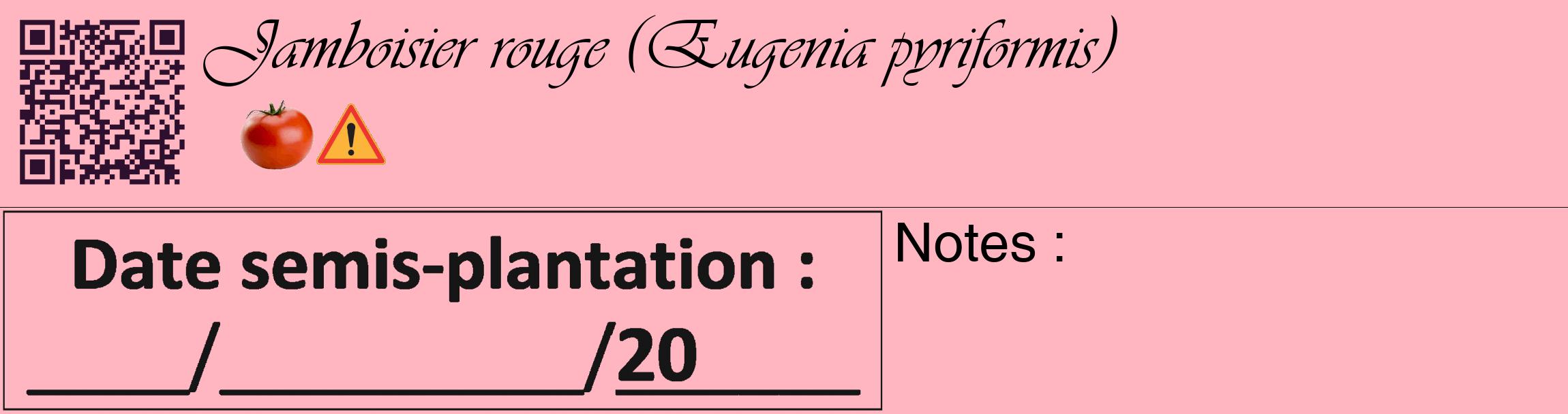 Étiquette de : Eugenia pyriformis - format c - style noire41_basique_basiqueviv avec qrcode et comestibilité simplifiée