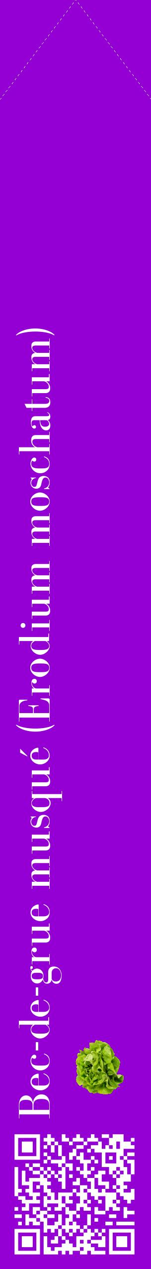 Étiquette de : Erodium moschatum - format c - style blanche48_simplebod avec qrcode et comestibilité simplifiée