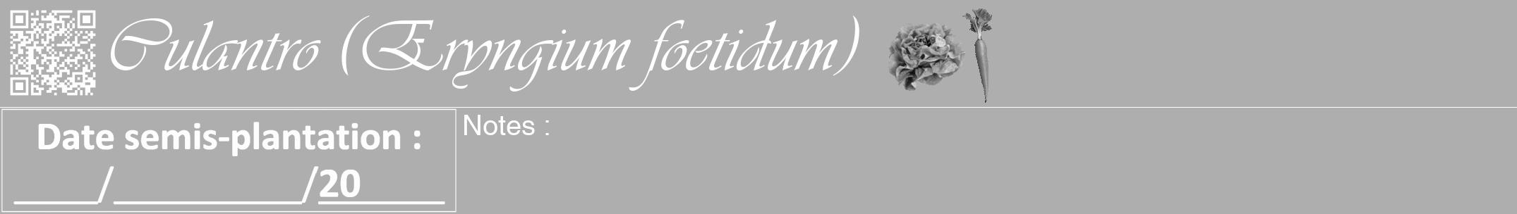 Étiquette de : Eryngium foetidum - format a - style blanche53viv avec qrcode et comestibilité simplifiée