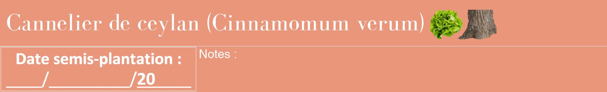Étiquette de : Cinnamomum verum - format a - style blanche37bod avec comestibilité simplifiée