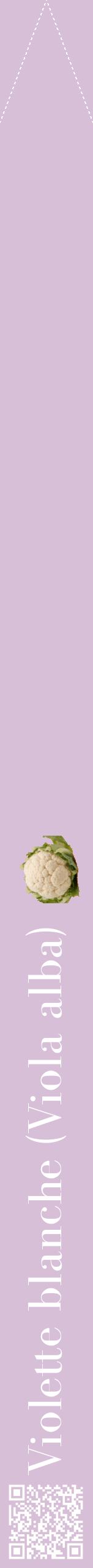 Étiquette de : Viola alba - format b - style blanche54bod avec qrcode et comestibilité simplifiée