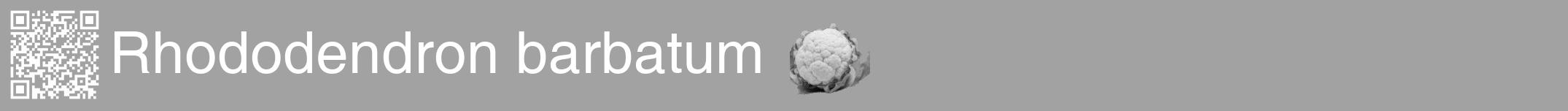 Étiquette de : Rhododendron barbatum - format a - style blanche38hel avec qrcode et comestibilité simplifiée