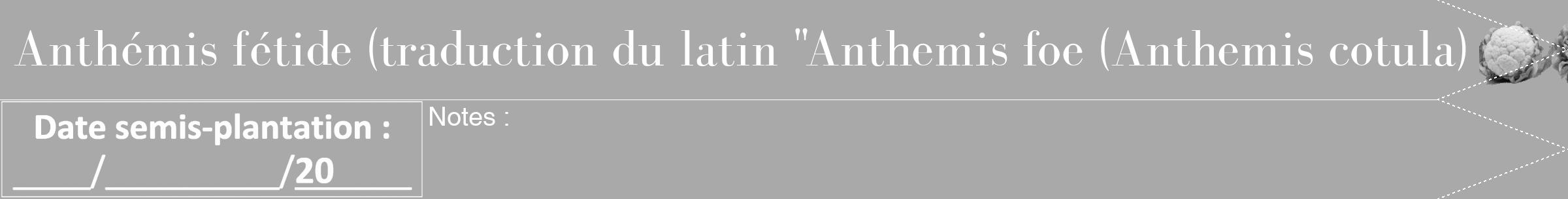 Étiquette de : Anthemis cotula - format b - style blanche13bod avec comestibilité simplifiée