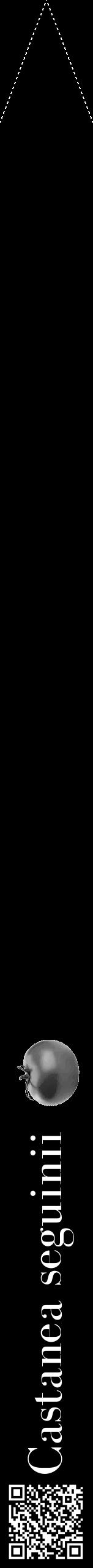 Étiquette de : Castanea seguinii - format b - style blanche59bod avec qrcode et comestibilité simplifiée - position verticale