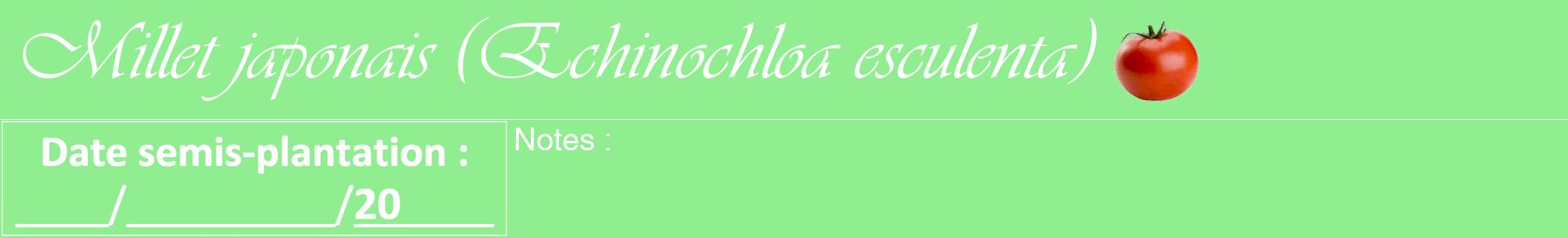 Étiquette de : Echinochloa esculenta - format a - style blanche15viv avec comestibilité simplifiée