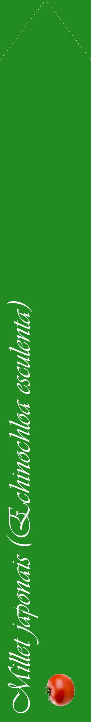 Étiquette de : Echinochloa esculenta - format c - style blanche10_simpleviv avec comestibilité simplifiée