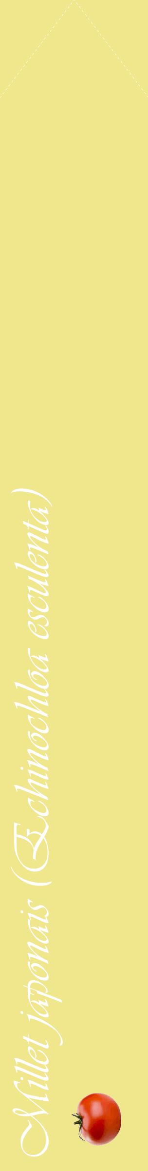 Étiquette de : Echinochloa esculenta - format c - style blanche20_simpleviv avec comestibilité simplifiée