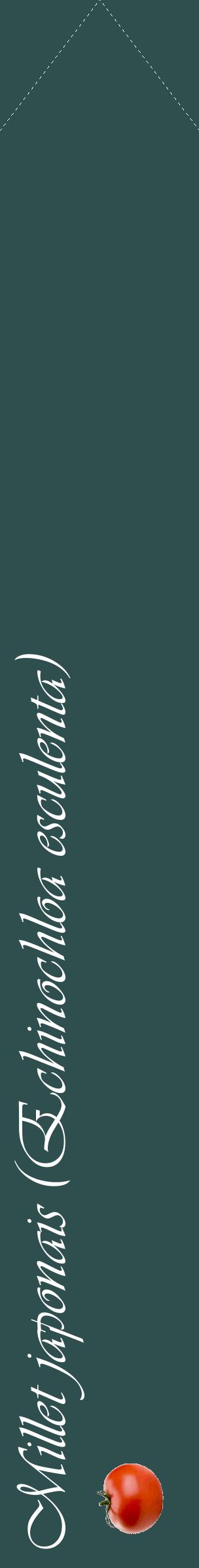 Étiquette de : Echinochloa esculenta - format c - style blanche58_simpleviv avec comestibilité simplifiée