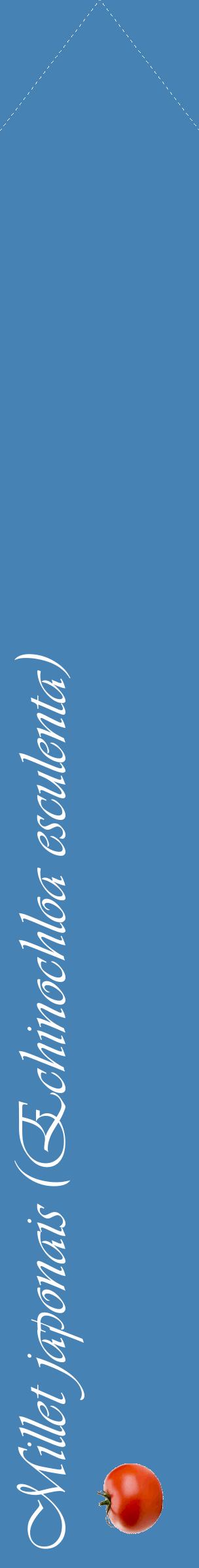 Étiquette de : Echinochloa esculenta - format c - style blanche5_simpleviv avec comestibilité simplifiée