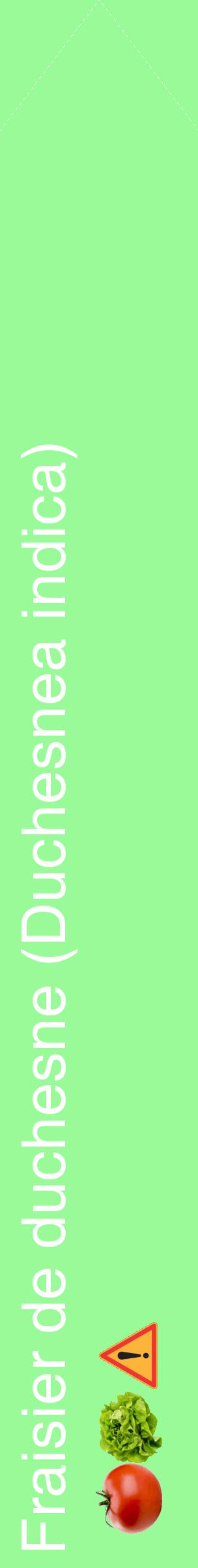 Étiquette de : Duchesnea indica - format c - style blanche14_simplehel avec comestibilité simplifiée