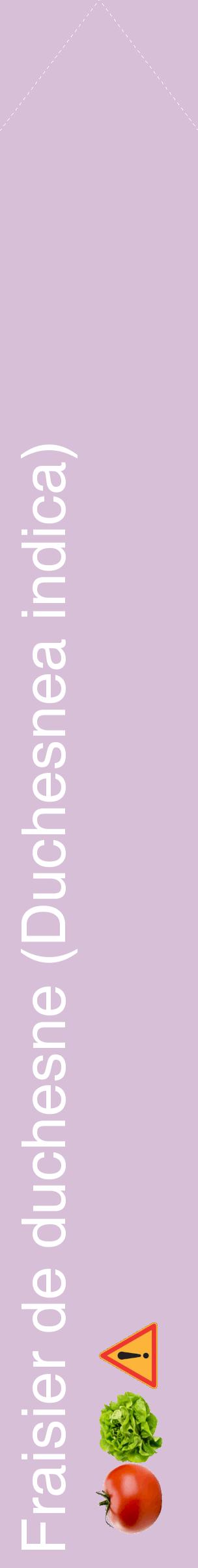 Étiquette de : Duchesnea indica - format c - style blanche54_simplehel avec comestibilité simplifiée