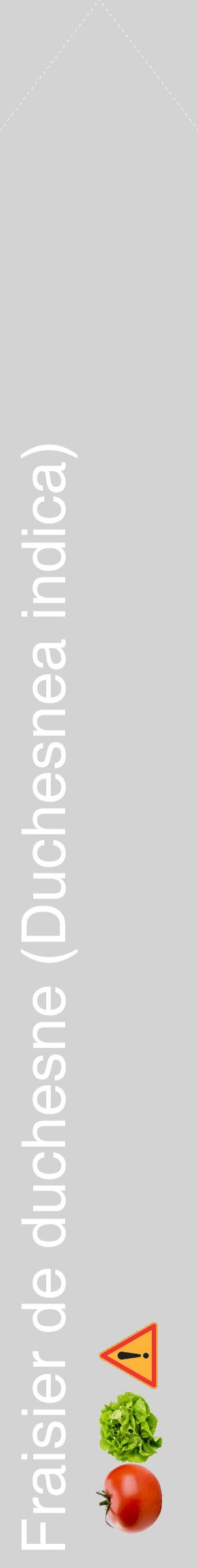 Étiquette de : Duchesnea indica - format c - style blanche56_simplehel avec comestibilité simplifiée