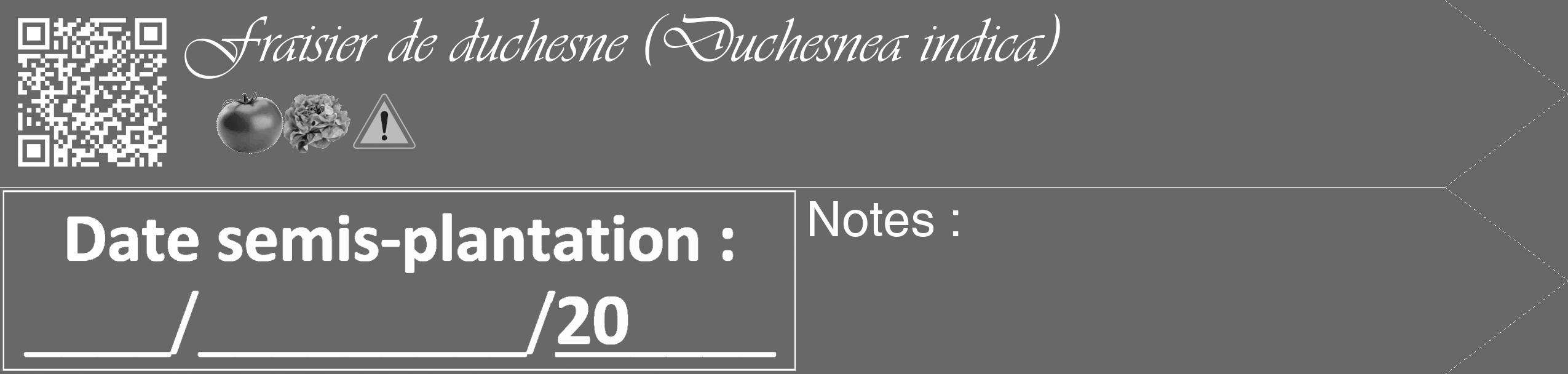 Étiquette de : Duchesnea indica - format c - style blanche43_simple_simpleviv avec qrcode et comestibilité simplifiée