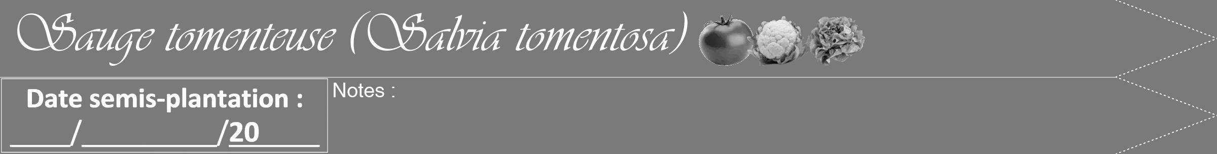 Étiquette de : Salvia tomentosa - format b - style blanche3viv avec comestibilité simplifiée