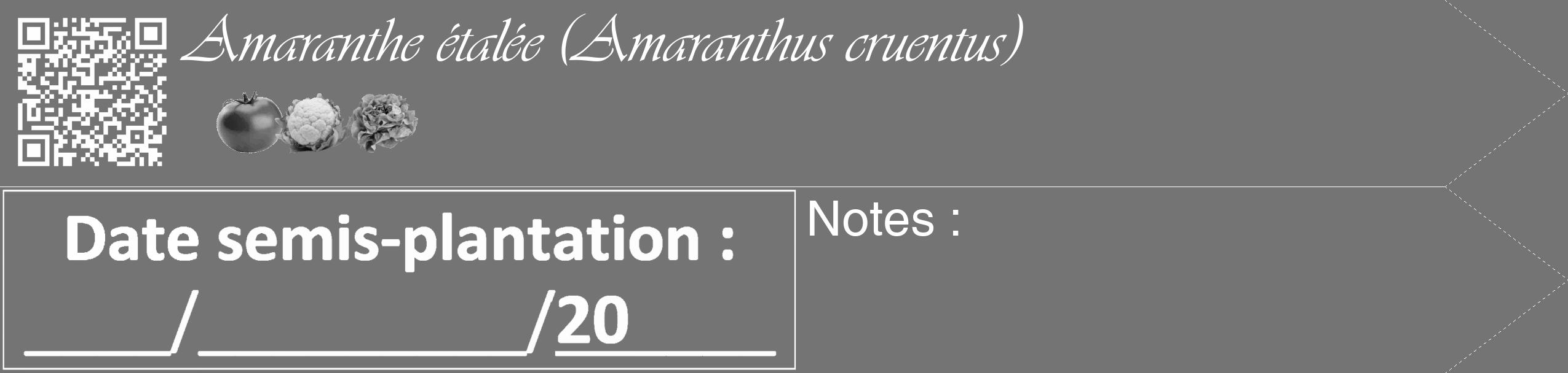 Étiquette de : Amaranthus cruentus - format c - style blanche26_simple_simpleviv avec qrcode et comestibilité simplifiée