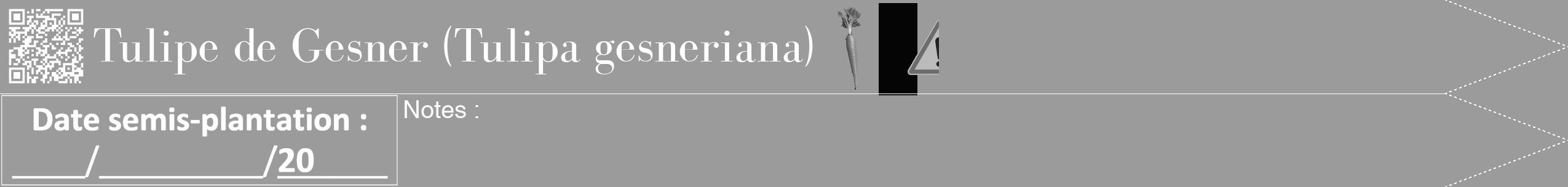Étiquette de : Tulipa gesneriana - format b - style blanche52bod avec qrcode et comestibilité simplifiée
