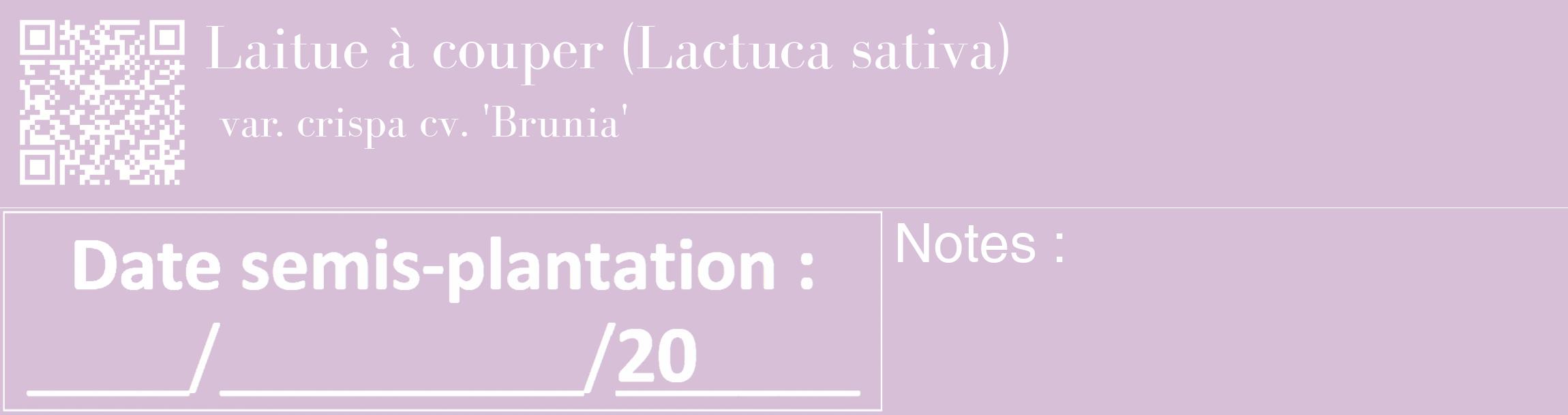 Étiquette de : Lactuca sativa var. crispa cv. 'Brunia' - format c - style blanche54_basique_basiquebod avec qrcode et comestibilité