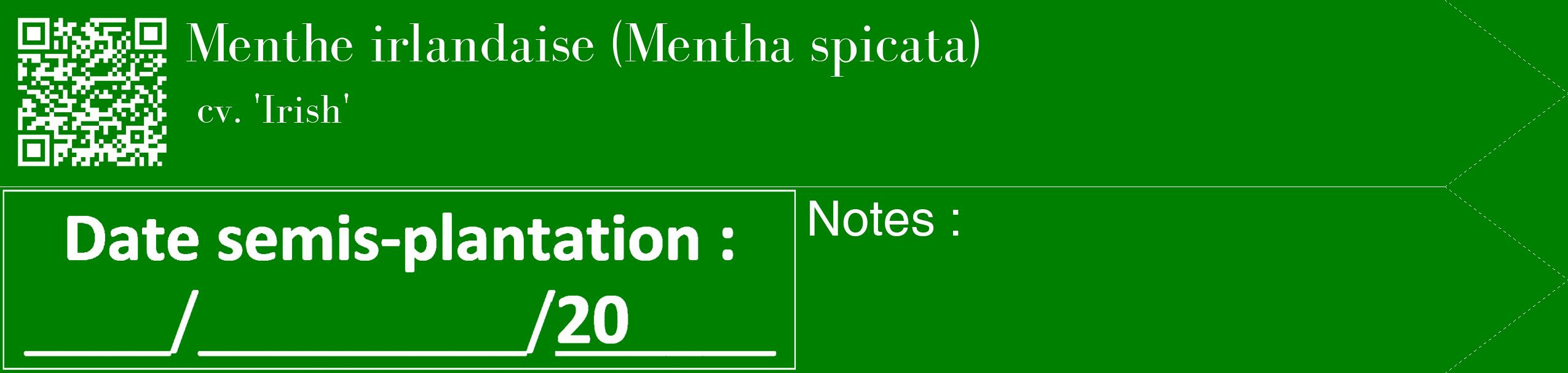 Étiquette de : Mentha spicata cv. 'Irish' - format c - style blanche9_simple_simplebod avec qrcode et comestibilité