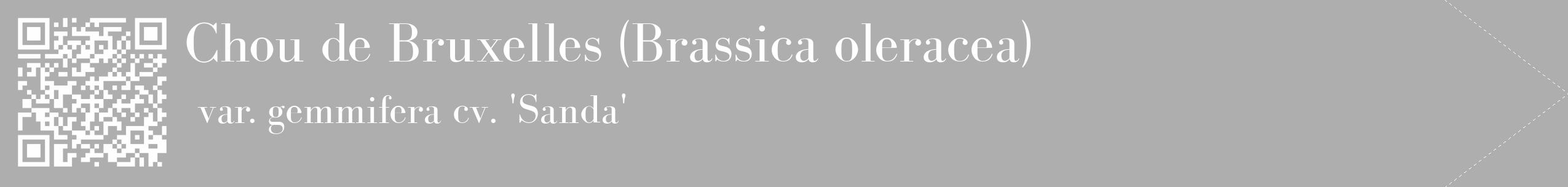 Étiquette de : Brassica oleracea var. gemmifera cv. 'Sanda' - format c - style blanche53_simple_simplebod avec qrcode et comestibilité