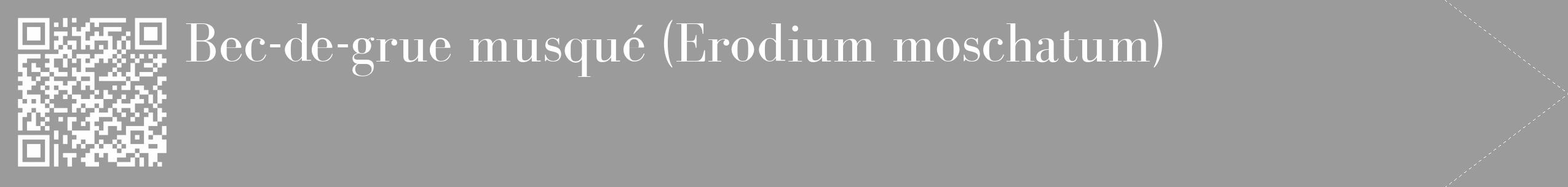 Étiquette de : Erodium moschatum - format c - style blanche52_simple_simplebod avec qrcode et comestibilité