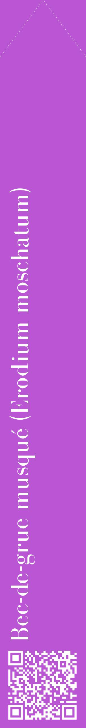 Étiquette de : Erodium moschatum - format c - style blanche50_simplebod avec qrcode et comestibilité