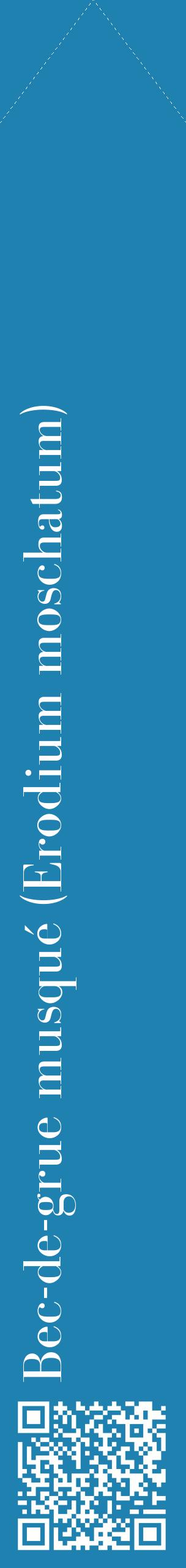 Étiquette de : Erodium moschatum - format c - style blanche6_simplebod avec qrcode et comestibilité