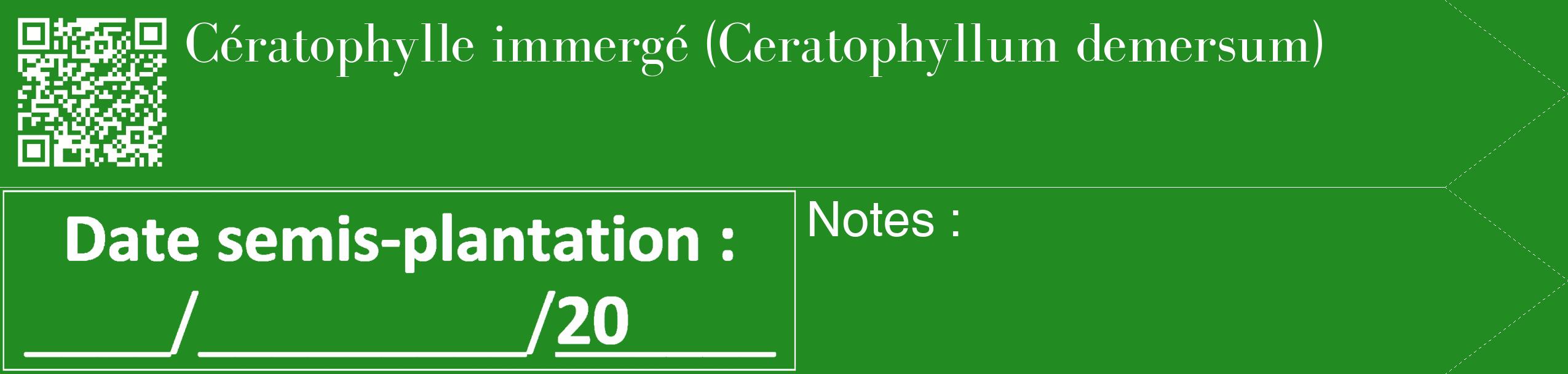 Étiquette de : Ceratophyllum demersum - format c - style blanche10_simple_simplebod avec qrcode et comestibilité