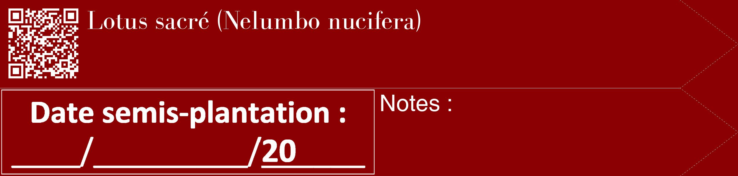 Étiquette de : Nelumbo nucifera - format c - style blanche34_simple_simplebod avec qrcode et comestibilité