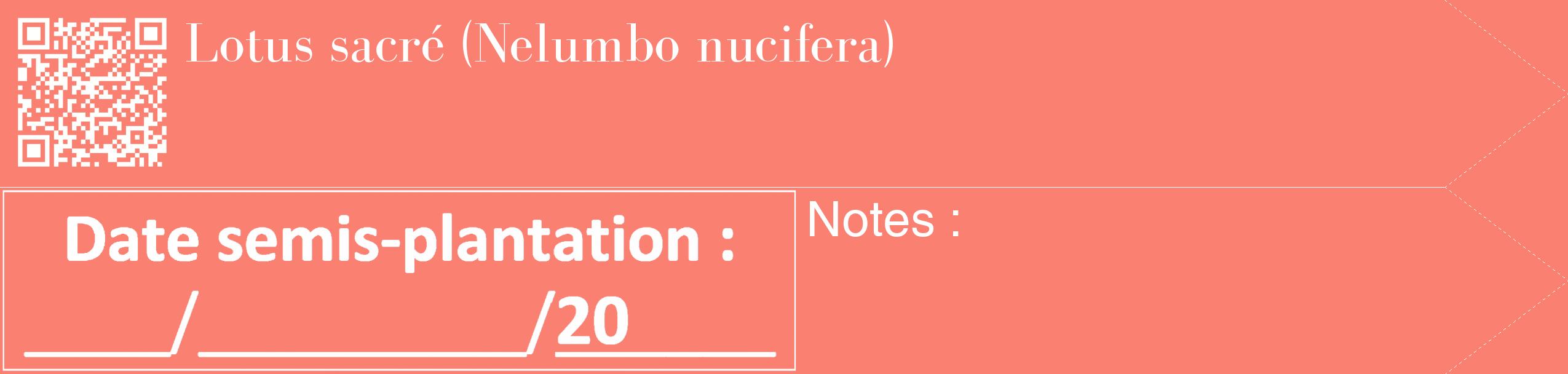 Étiquette de : Nelumbo nucifera - format c - style blanche38_simple_simplebod avec qrcode et comestibilité
