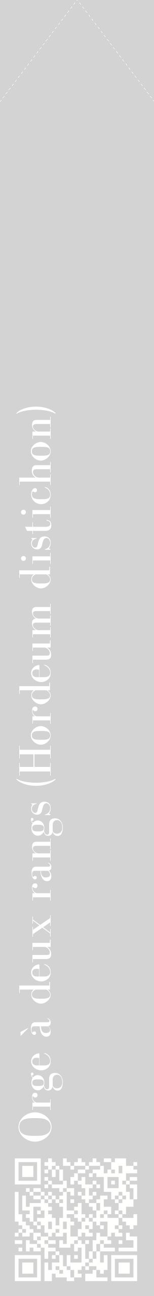 Étiquette de : Hordeum distichon - format c - style blanche56_simplebod avec qrcode et comestibilité