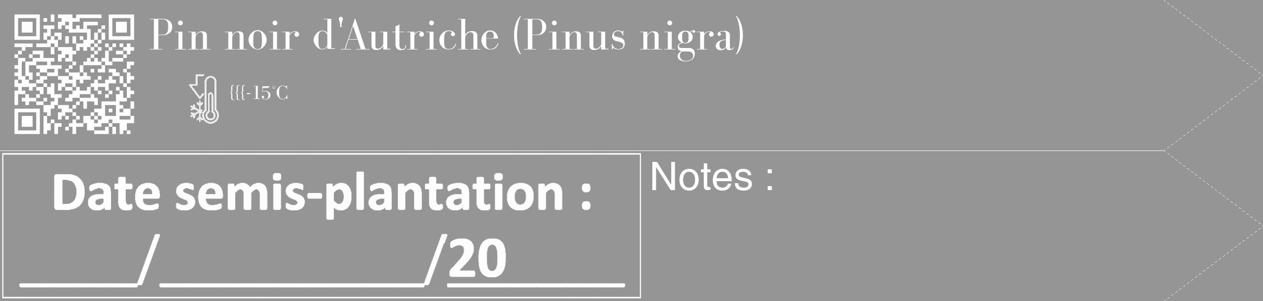 Étiquette de : Pinus nigra - format c - style blanche16_simple_simplebod avec qrcode et comestibilité