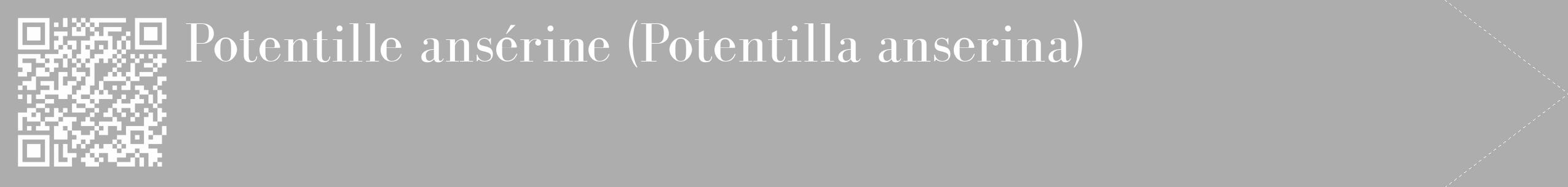 Étiquette de : Potentilla anserina - format c - style blanche22_simple_simplebod avec qrcode et comestibilité