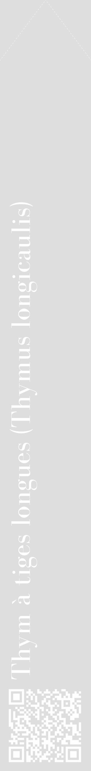 Étiquette de : Thymus longicaulis - format c - style blanche20_simple_simplebod avec qrcode et comestibilité - position verticale