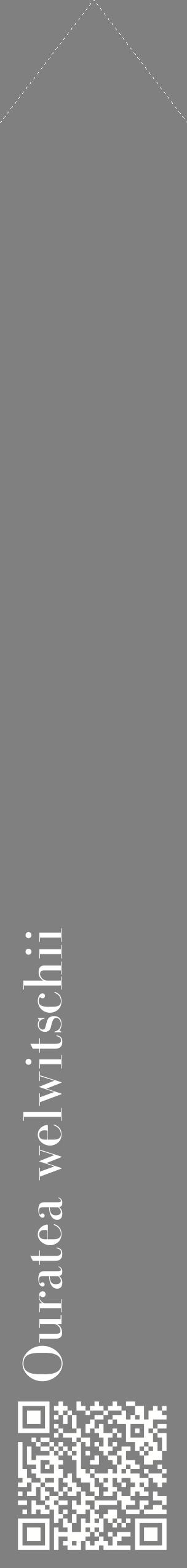 Étiquette de : Ouratea welwitschii - format c - style blanche57_simplebod avec qrcode et comestibilité