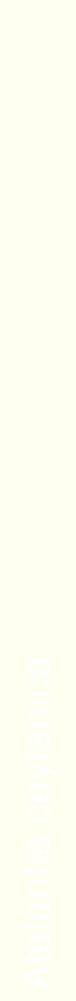 Étiquette de : Atalantia ceylanica - format a - style blanche19hel avec comestibilité