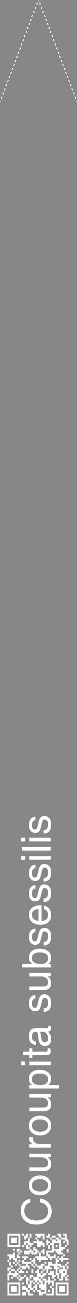 Étiquette de : Couroupita subsessilis - format b - style blanche12hel avec qrcode et comestibilité - position verticale