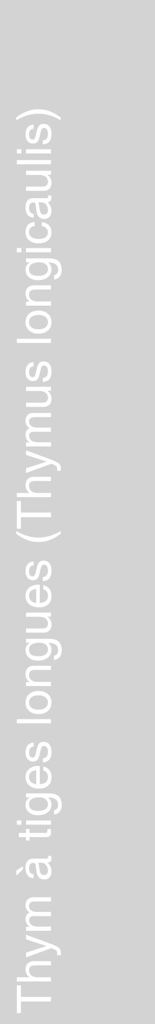 Étiquette de : Thymus longicaulis - format c - style blanche56_basiquehel avec comestibilité